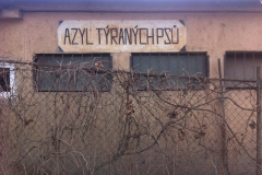 Azyl týraných psů